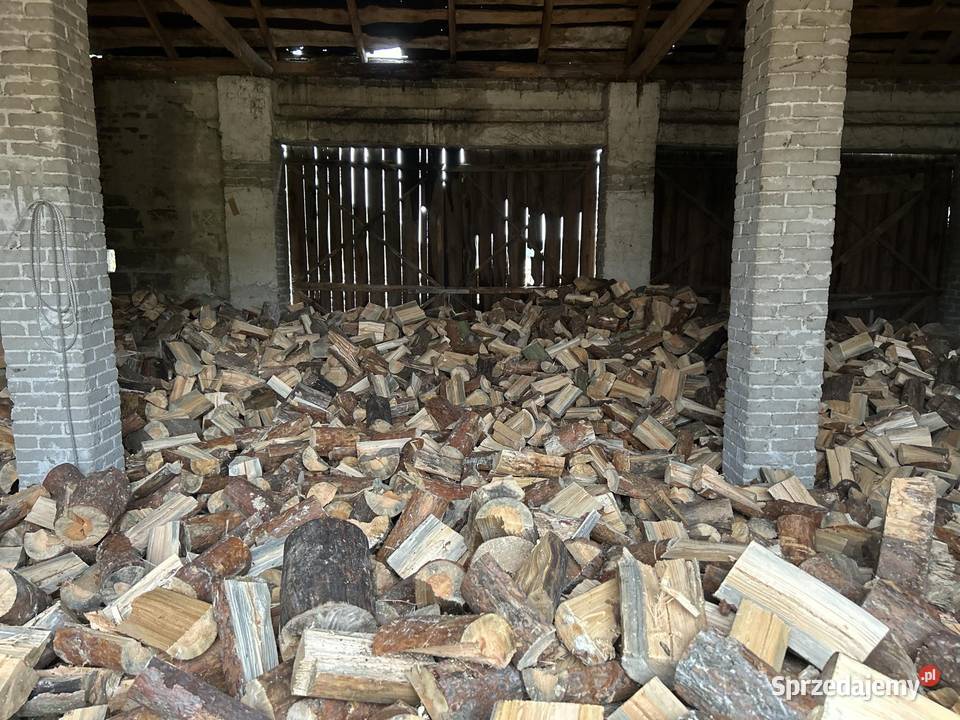 Drewno opałowe Sosna Widawa