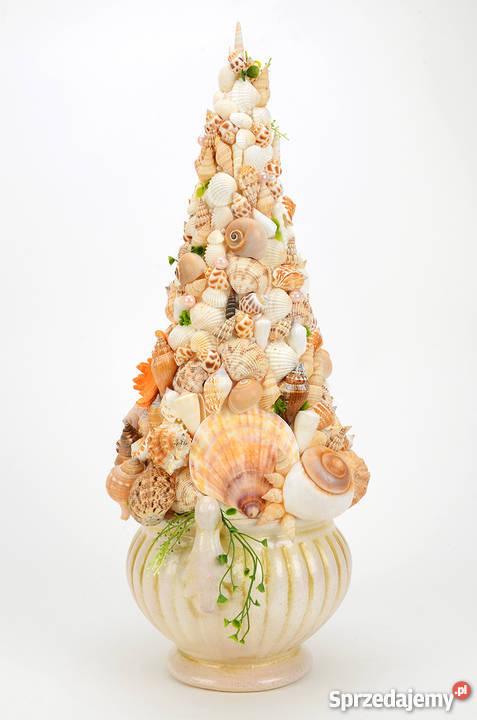 Stroik z muszli morskich pomorskie Pruszcz Gdański