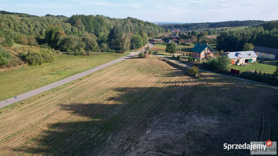 Działka TeodorówkaKolonia 2643m2 Teodorówka-Kolonia