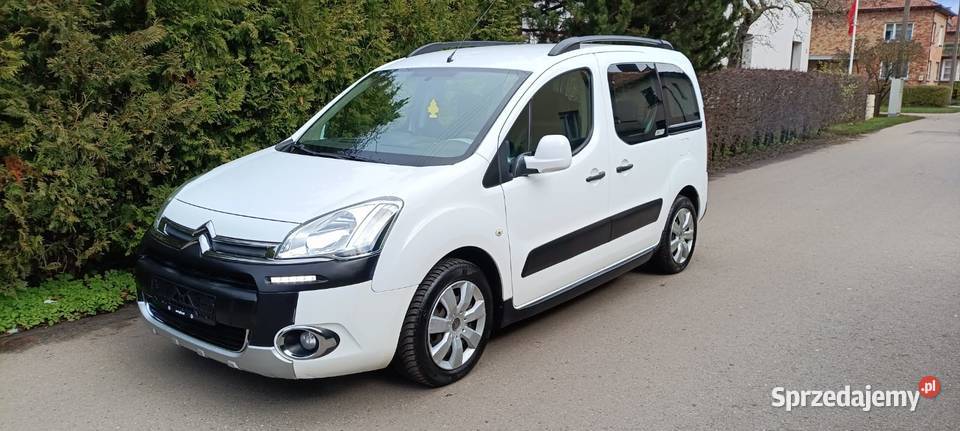 100 Bezwypadkowy oryginalny przebieg Puławy