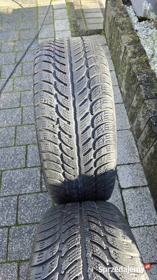 Opony zimowe 2055516 91T Dębica Frigo