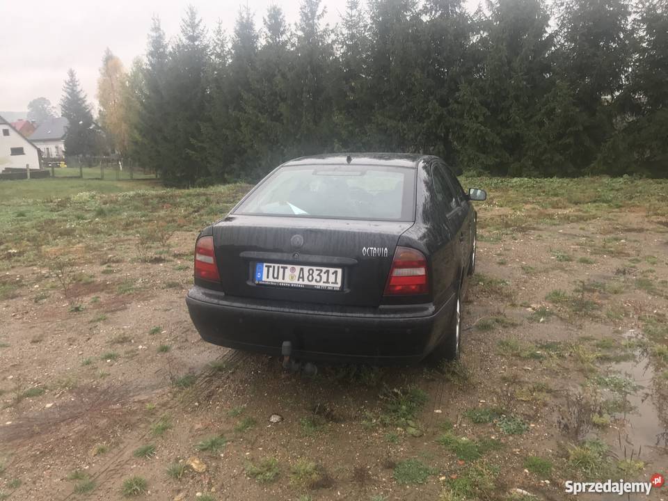 Idealna Skoda Octavia jako pierwsze Auto 288km Octavia Stara Kamienica
