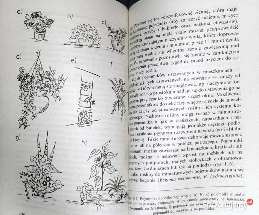 Dekoracje roślinne Miczyńska SzarkowskaHoffmann Chełm sprzedam