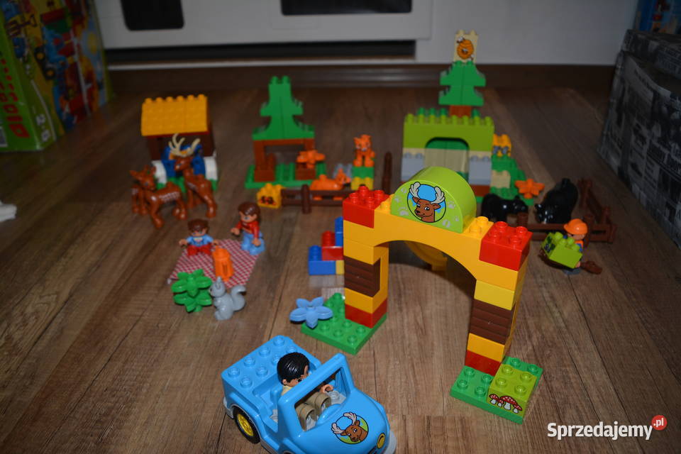 Lego Duplo 10584 Leśny park Toruń