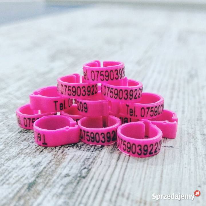 Naklejki na Tipesy Znaczniki Gołębie na obrączki Zawiercie