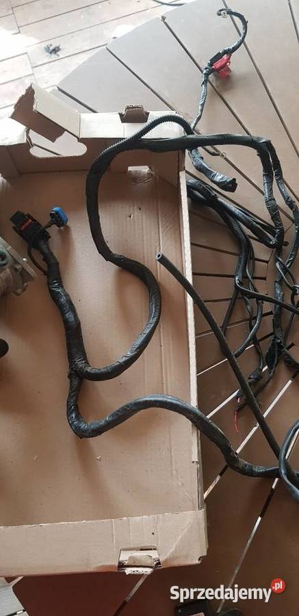 Gaz sekwencja sekwencyjny Audi Volkswagen 16 Kraśnik