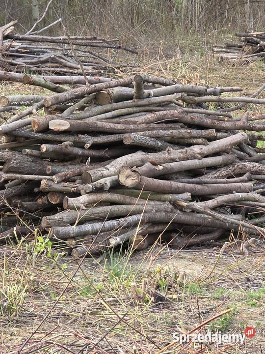 Drewno opałowe Jasło