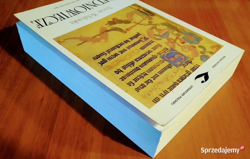 Średniowiecze Teresa Michałowska Wielka Historia Gdańsk