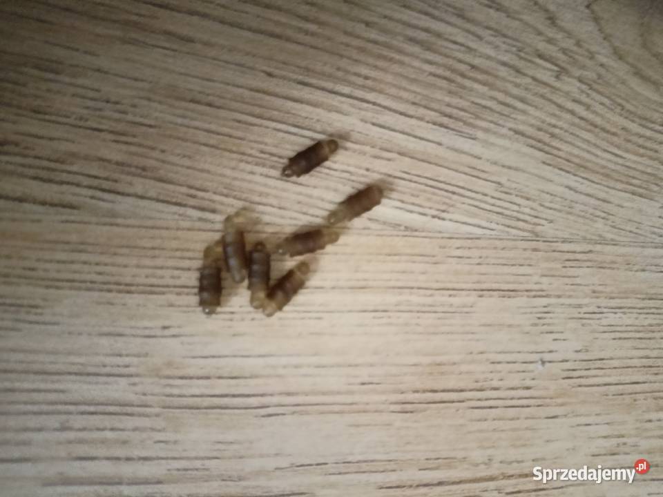 akcesoria Mikado method feeder