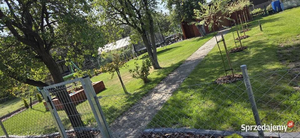 Działka rekreacyjna rod 500m2 Lębork sprzedam