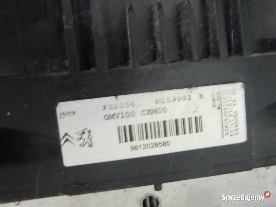 WENTYLATOR CHŁODDNICY PEUGEOT 207 GMV100CEM00 Części samochodowe