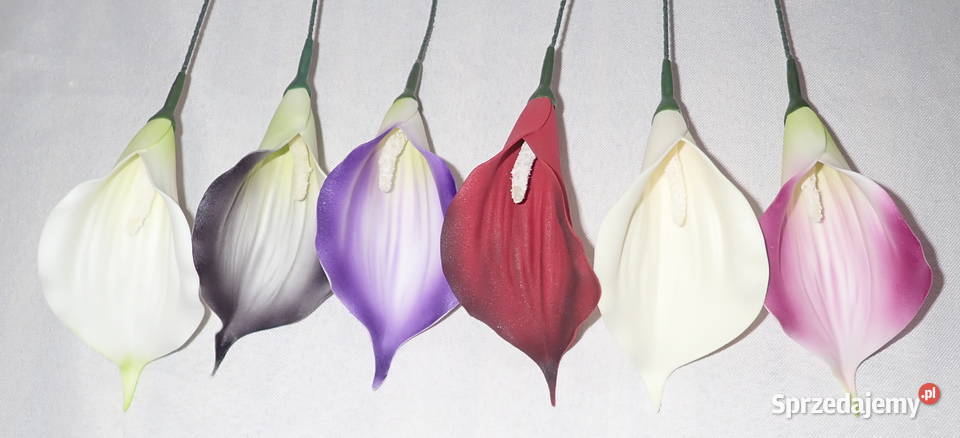 Kalia sztuczna wyrobowa piankowa do bukietów 6 śląskie Siewierz