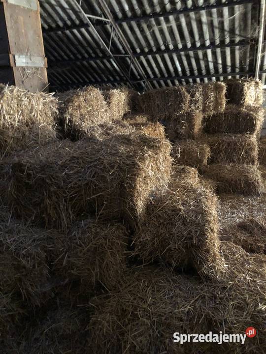 Słoma w małej kostce Suchy Las