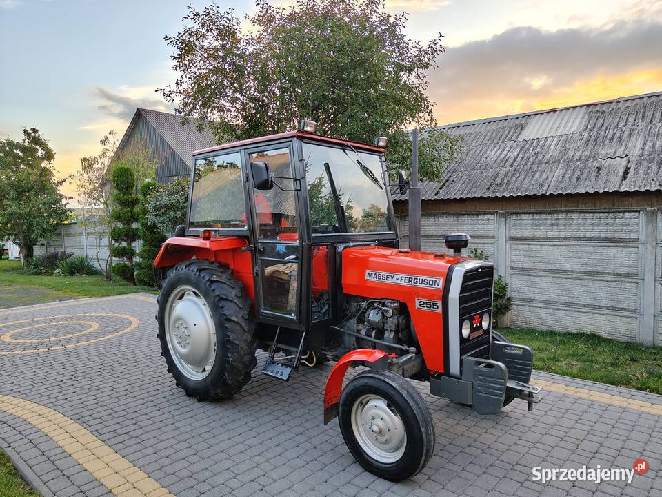 Massey Ferguson 255 Chełm sprzedam