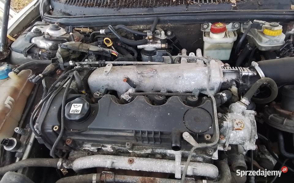 Alfa romeo silnik 19jtd AR37101 inne Tuszyn