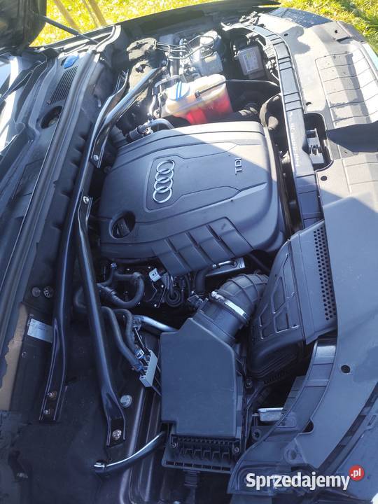 Audi Q5 guattro panorama dach Webasto hak wersja 2000cm3 Słupsk sprzedam
