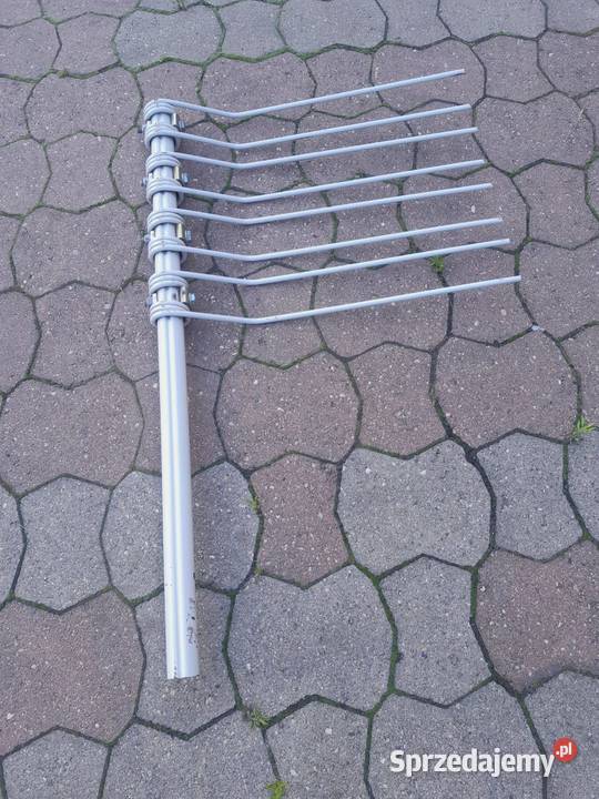 Solidne ramię palców zębów 89 do POTTINGERA