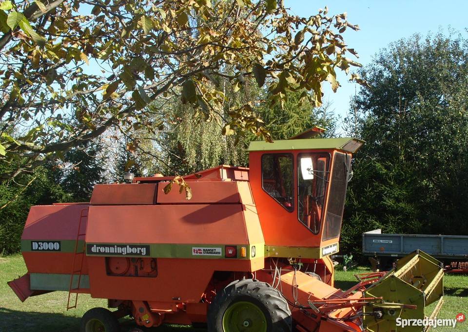 Dronningborg D3000 Chełm