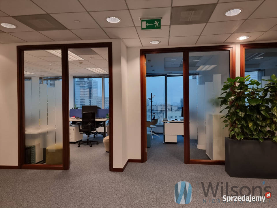 Lokal Warszawa Świętokrzyska 22072m2 Wynajem mazowieckie