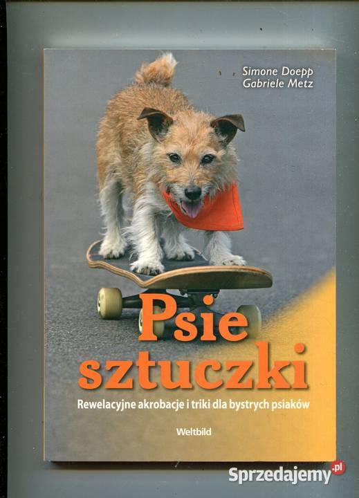 Psie sztuczki Simone DoeppGabriele Metz Pozostałe Szczecin