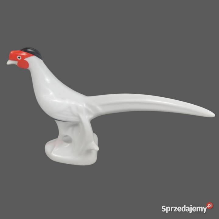 Look Bażant biało czarny porcelana Cluj Rumunia Bronisze