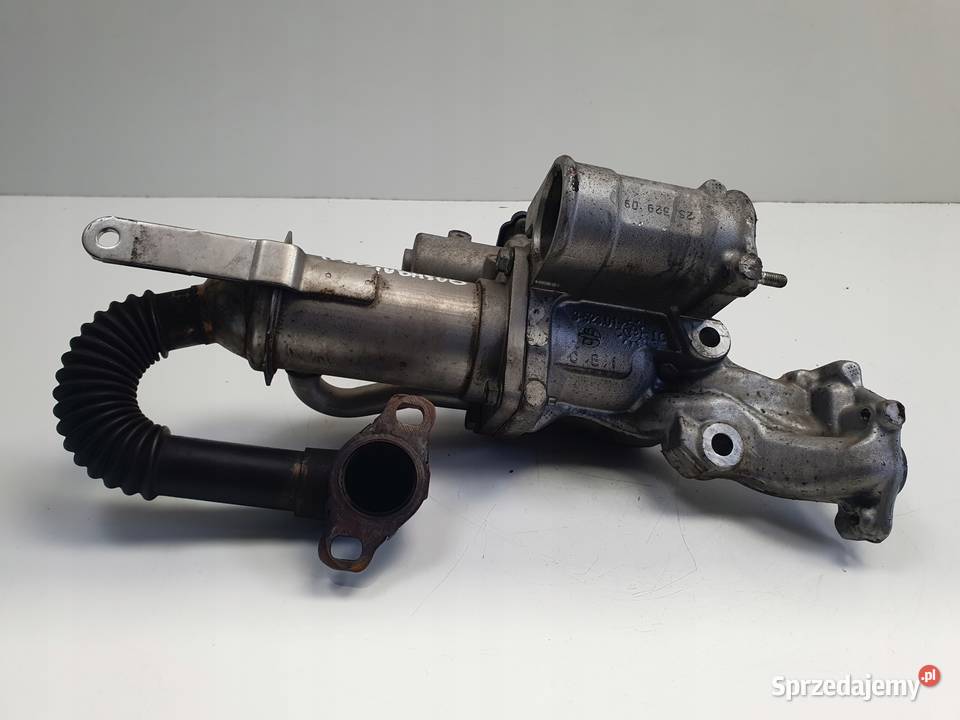Nissan Qashqai 15 DCI ZAWÓR EGR CHŁODNICA SPALIN Chełm