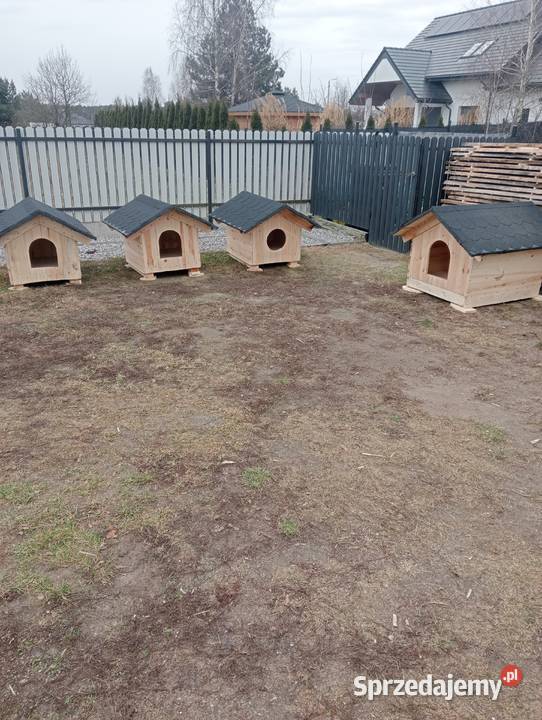 Buda psa legowisko Pozostałe mazowieckie Pionki