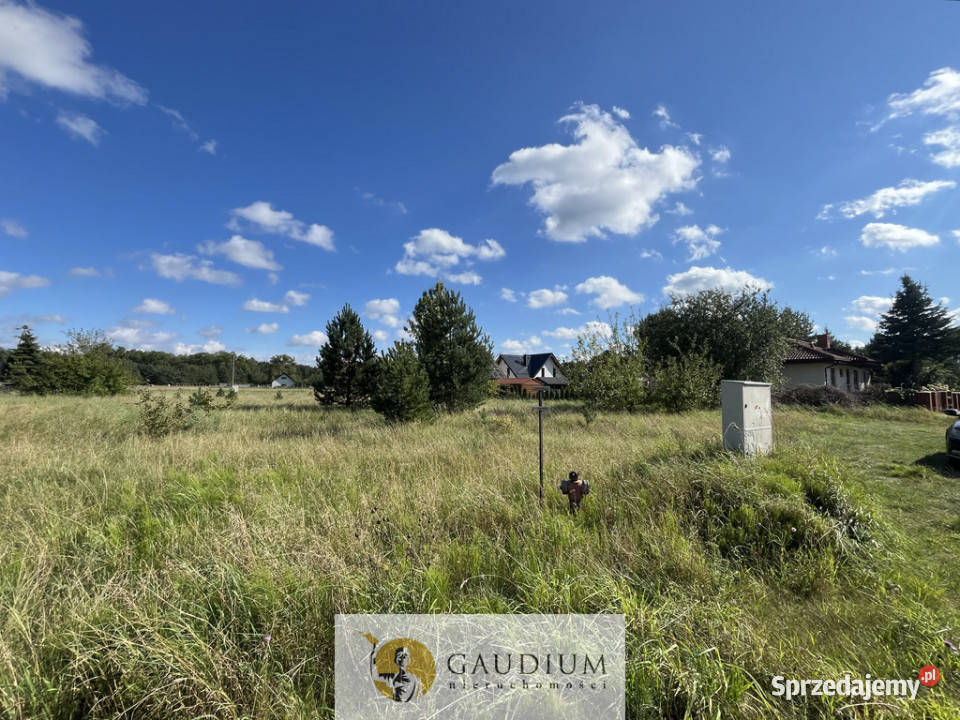Działki 710 m2 I Kaszuby asfalt Stara Kiszewa