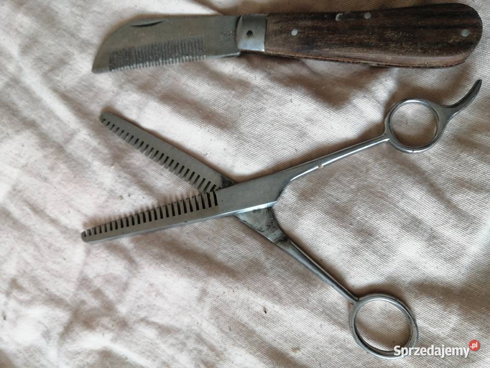 nożyczki degażówki konia Legnica