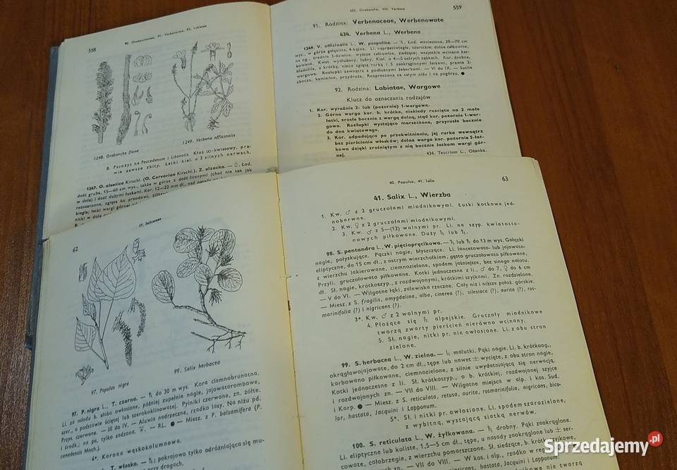 Rośliny polskie opisy i klucze do oznaczania Rok wydania 1986 pomorskie Gdańsk