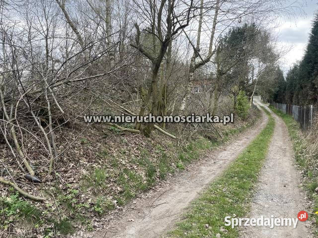 Grunt 787m2 Wodzisław Śląski