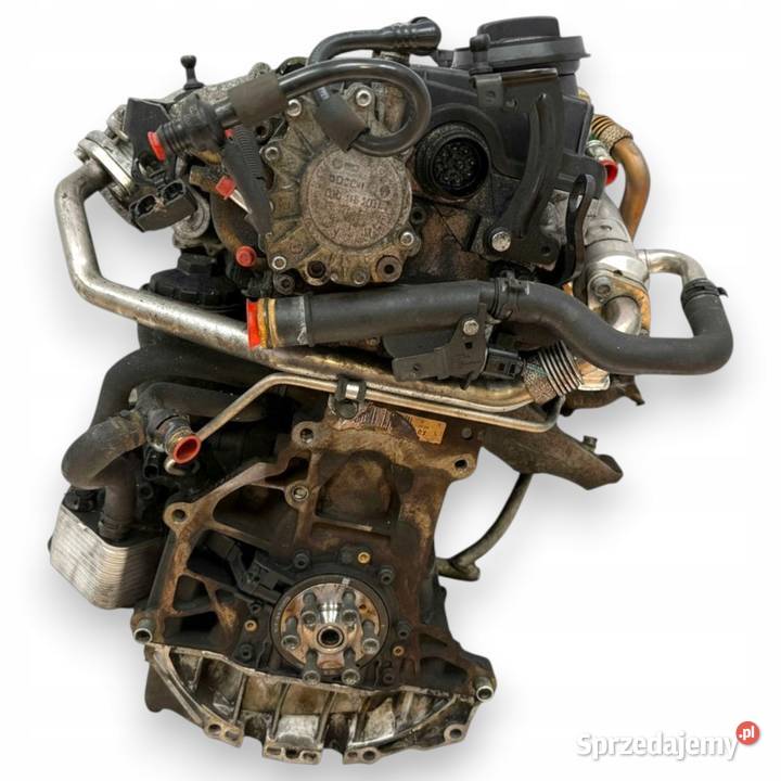 SILNIK BRE Audi A4 B7 A6 C6 20 TDI 140 diesel Chełm