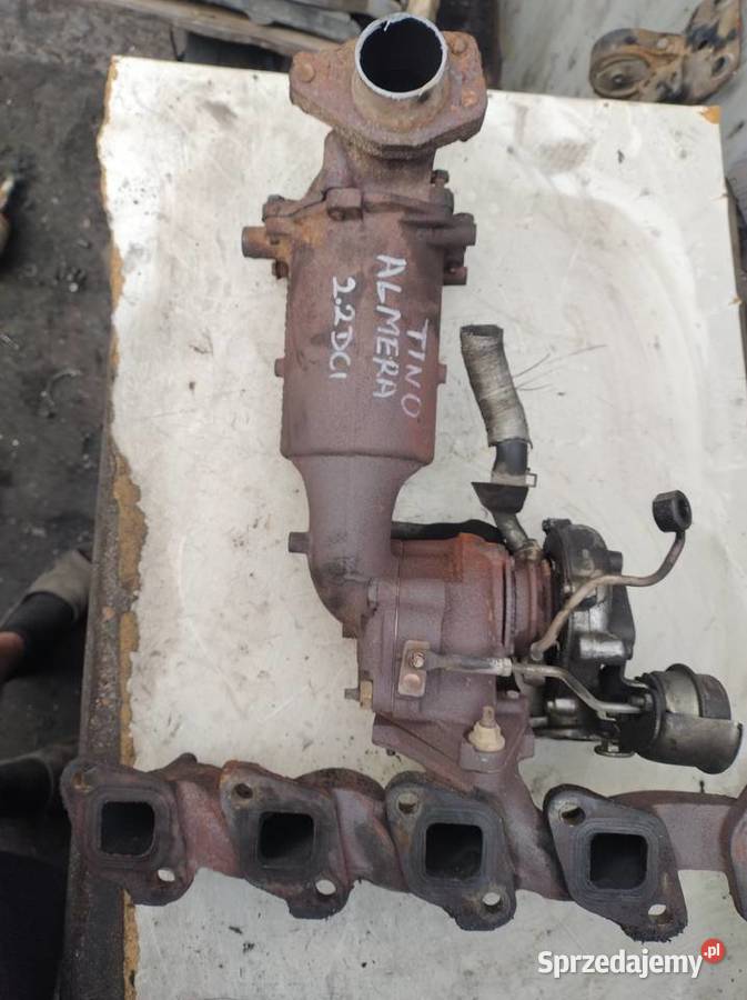 NISSAN ALMERA TINO 22dci turbosprężarka kolektor osobowe świętokrzyskie Kielce sprzedam