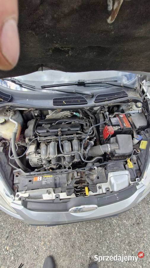 Ford Fiesta 2009 14 Benzyna 162 Unikalna śląskie