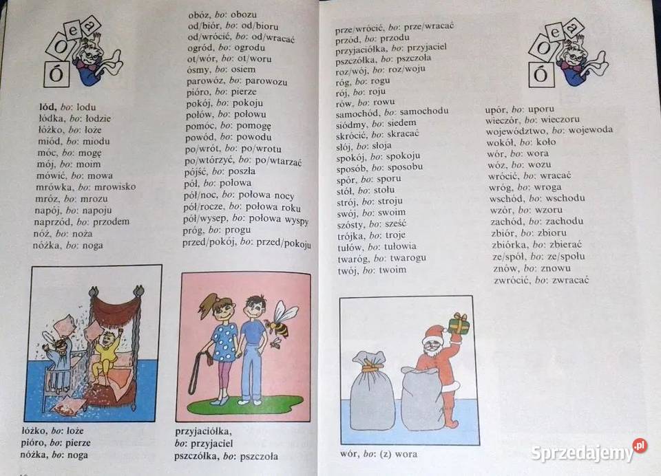 Ilustrowany słownik ortograficzny kl 13 Chełm