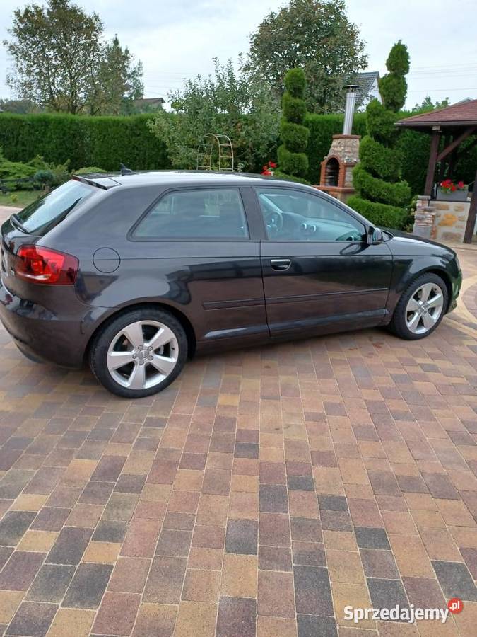Audi A3 Audi A3 20 TDI CR 140 Ambition nieuszkodzony A3 Ozorków sprzedam