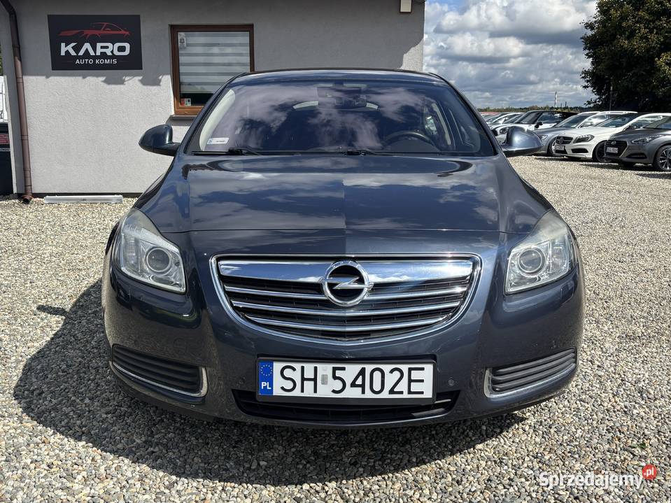 Opel Insignia Hatchback śląskie Paniówki