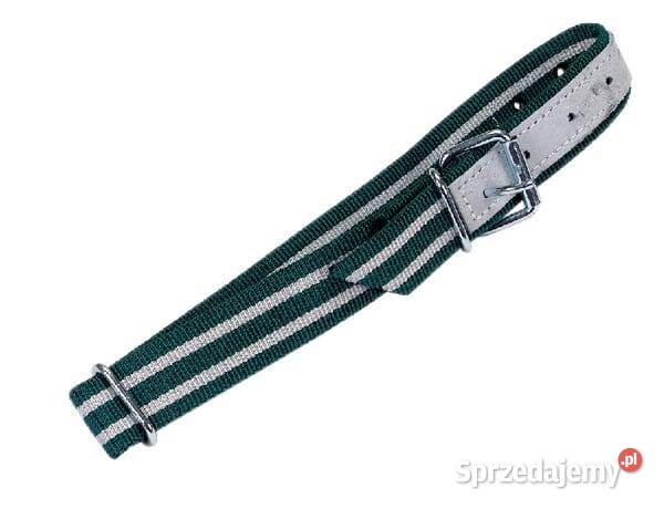 Obroża bez kółka 100 x 4 162812465