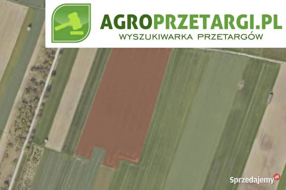 Dzierżawa 352 ha gruntu pod elektrownie wiatrowe Pajęczno