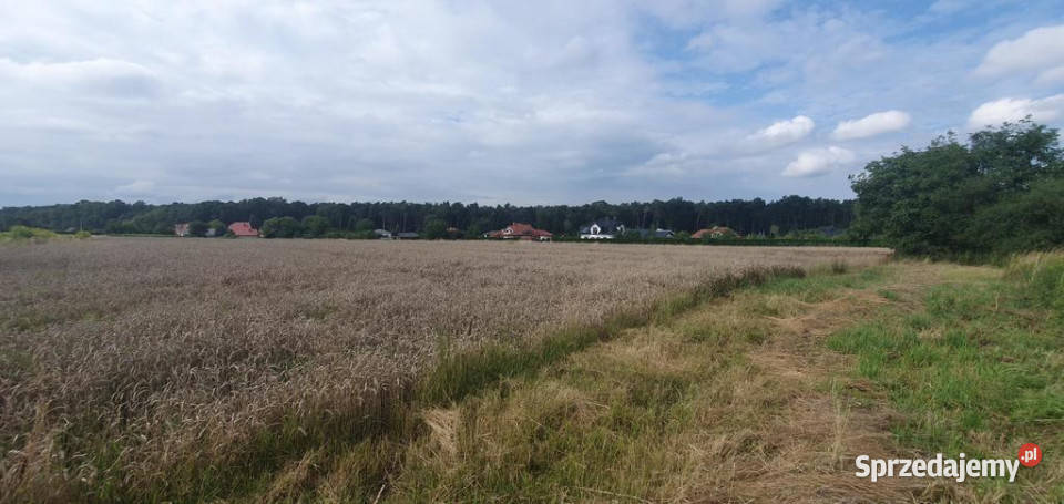 Piękna działka budowlana lasu 17arŚwidnik