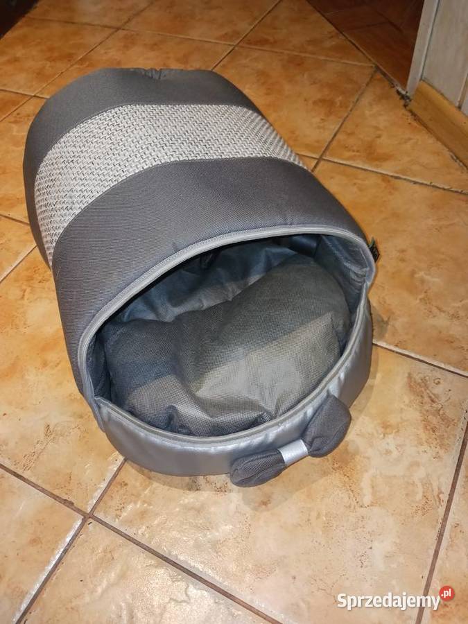 Kojec kota Ruda Śląska