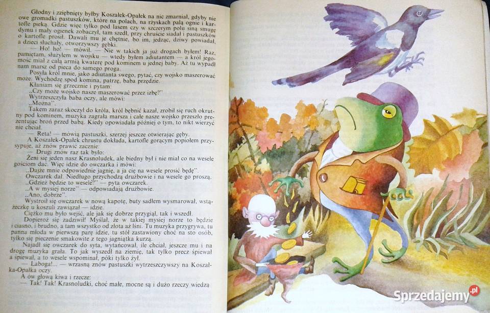 O krasnoludkach i o sierotce Marysi Maria Chełm sprzedam