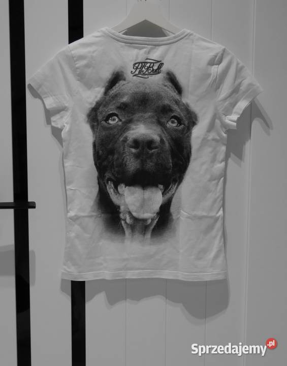 Pitbull rewelacyjna koszulka 34 XS sprzedam
