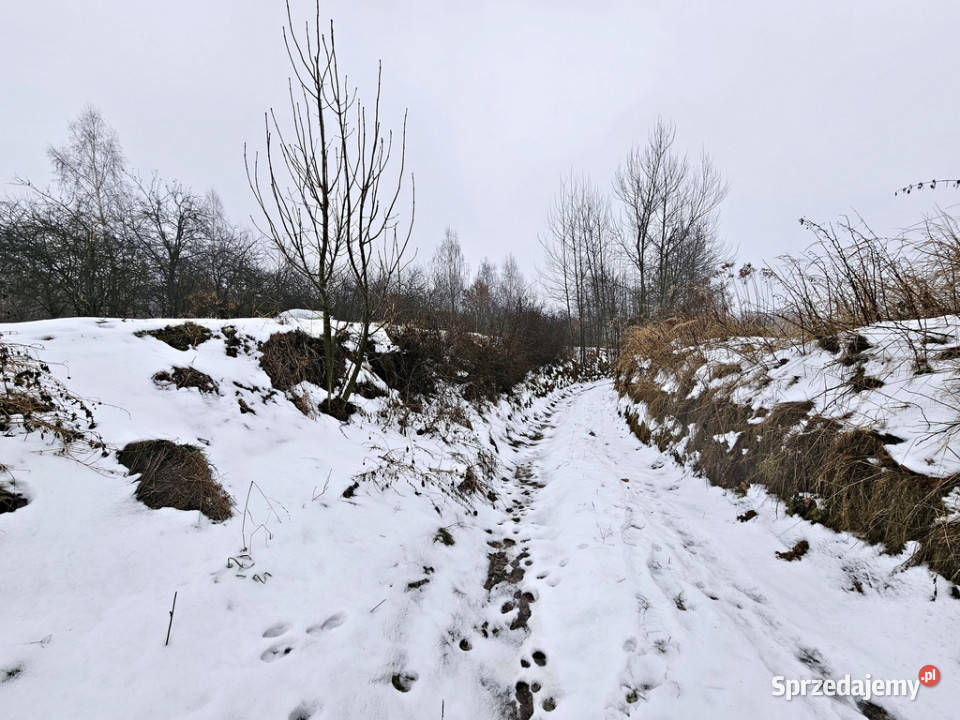 Drewniany dom z dużą działką pole sad las Sprzedaż lubelskie Karczmiska Pierwsze