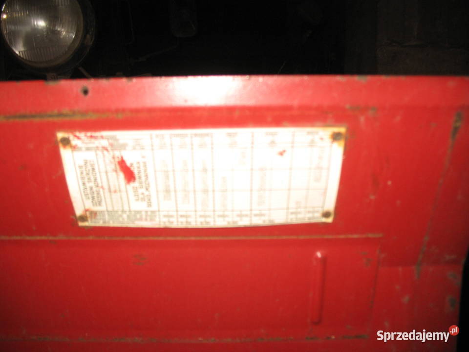 Siewnik poznaniak Przodkowo