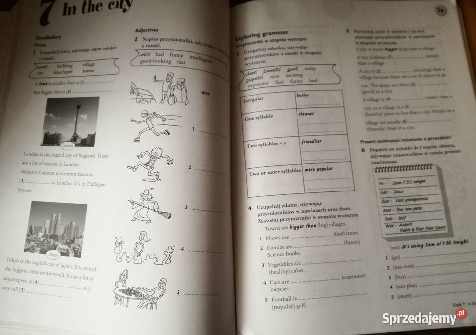 Język angielski ADVENTURES Workbook Plus Podręczniki Łódź