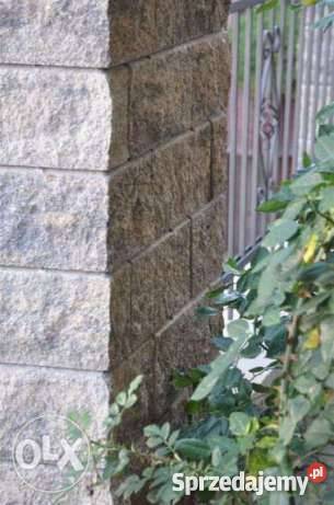 Ogrodzenia łupane Niepołomice