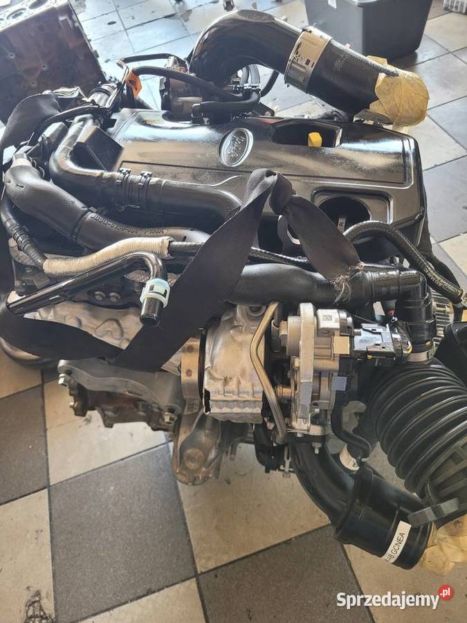 Profesjonalny Serwis Ford Transit Remonty Radom
