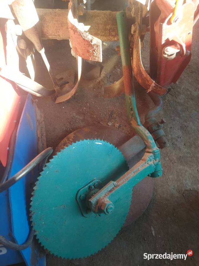 Krój do pługa Blizne sprzedam