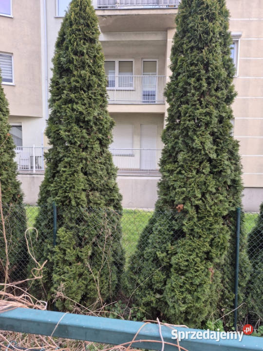 MIESZKANIE PIĄTKOWO